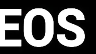 2333