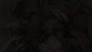 42634-novinha-transando-com-amigo-pirocudo