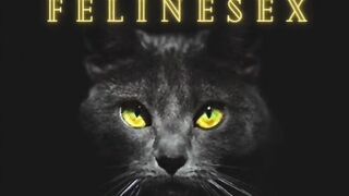 3111