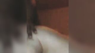 pornoespanolblog-13796-un-negro-recibe-como-regalo-de-ano-nuevo-el-culo-prieto-de-una-blanca
