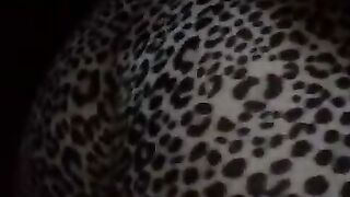 pornoespanolblog-19708-que-calor-con-esos-pantalones-de-tigre
