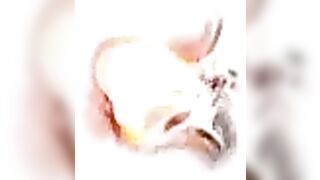 xvideovlogbr-26149-teen-porno-branquinha-abrindo-o-cu-pra-dar-gostoso