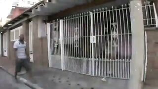 xvideovlogbr-32809-xvideos-punheta-morena-da-bunda-gigante-mesmo-sentando-para-valer-na-pica-do-negao