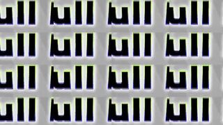6204