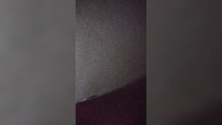 62038 - Sexo com esposa gordelícia cuzuda no pelo